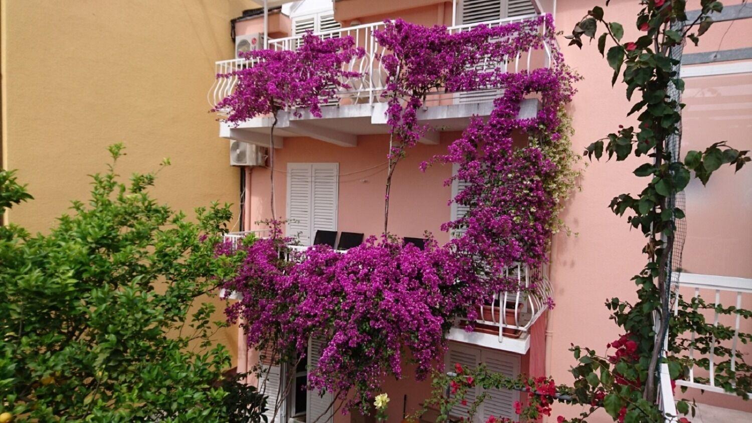 Apartments Ora Orebic Bagian luar foto